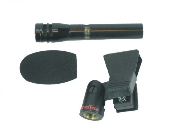 Crown CM700 Pro Sound & Lighting